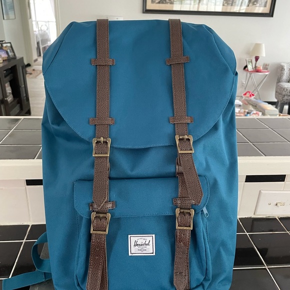 Brand new comfortable backpack with cushiony insert for laptop. - Picture 1 of 3